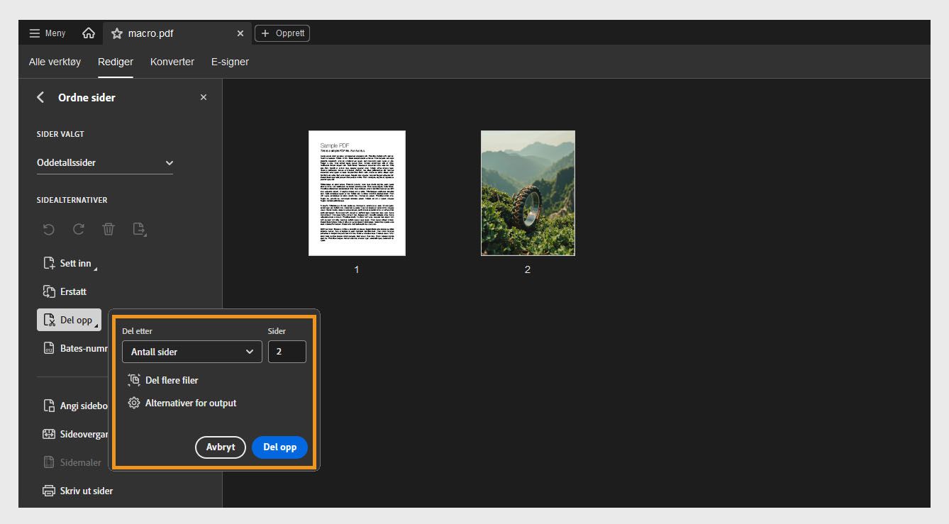 Panelet Organiser sider viser dialogboksen Del med ulike alternativer: Del etter, Sider, Del flere filer og Utdata-alternativer.