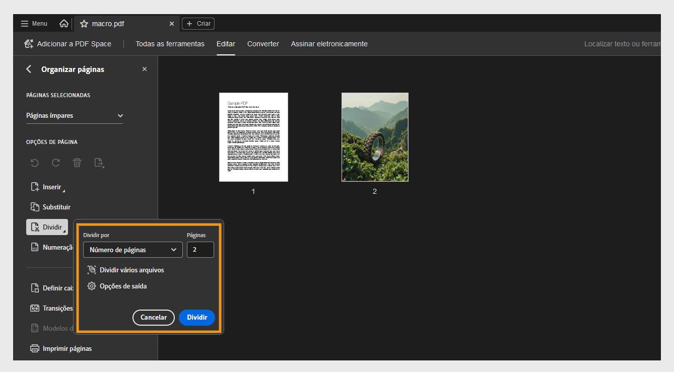 O painel Organizar páginas exibe a caixa de diálogo Dividir com várias opções: Dividir por, Páginas, Dividir vários arquivos e Opções de output.