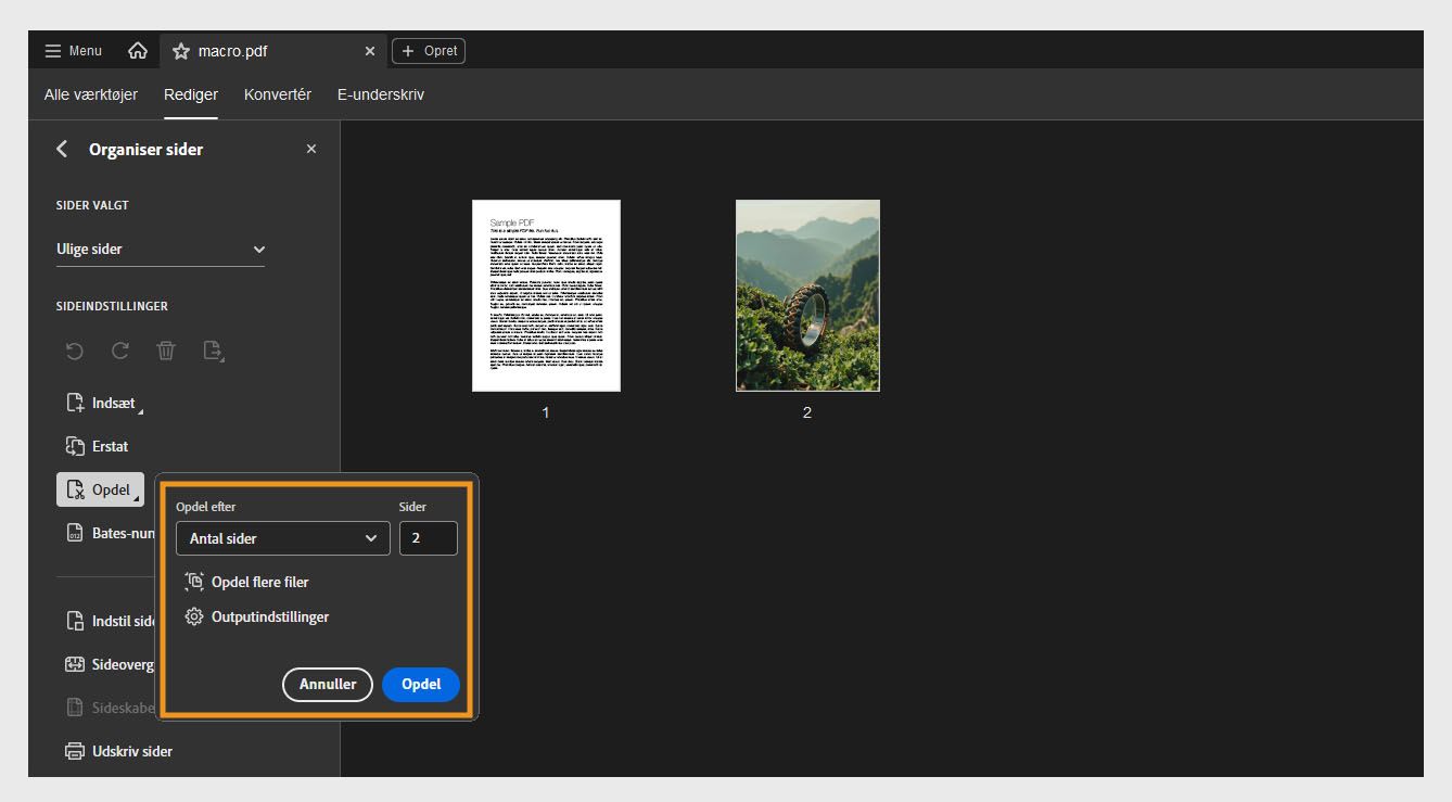 Panelet Organiser sider viser dialogboksen Opdel med forskellige indstillinger: Opdel efter, Sider, Opdel flere filer og Outputindstillinger.