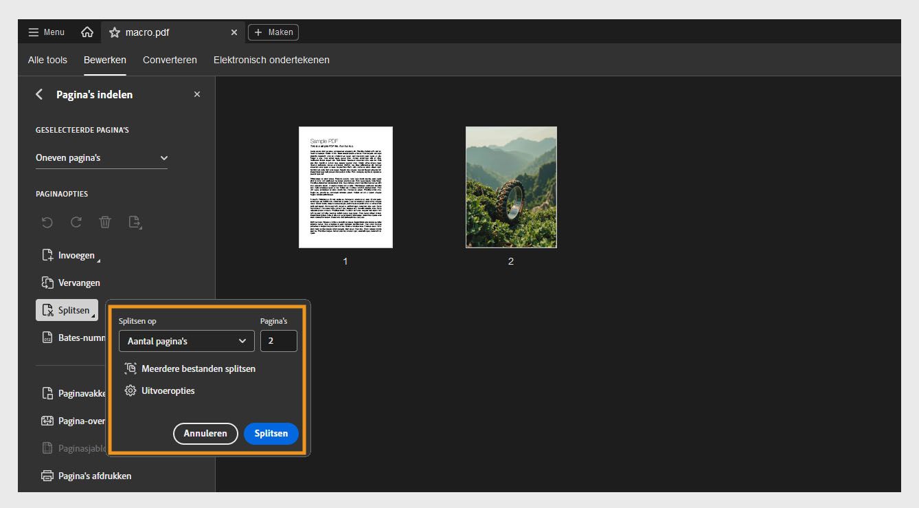 Het deelvenster Pagina's indelen toont het dialoogvenster Splitsen met verschillende opties: Splitsen op, Pagina's, Meerdere bestanden splitsen en Uitvoeropties.