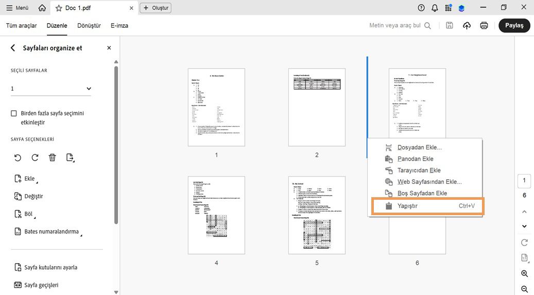 Sayfaları organize et görünümü sayfa küçük resimlerini gösterir.Bağlam menüsü açık ve kopyalanan veya kesilen bir sayfayı eklemek için Yapıştır seçeneği vurgulanmış.