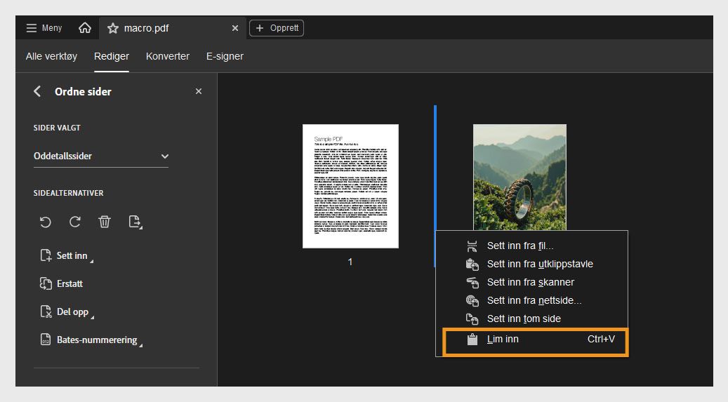 Visningen Organiser sider viser sideminiatyrbilder. Kontekstmenyen er åpen, med alternativet Lim inn uthevet for å sette inn en kopiert side eller utklippsside.