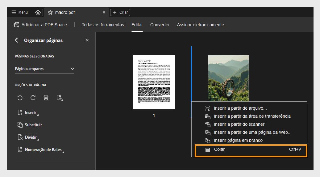 A visualização Organizar páginas mostra miniaturas de página. O menu de contexto está aberto, com a opção Colar destacada para inserir uma página copiada ou recortada.