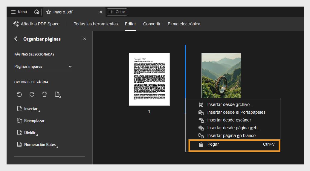 La vista Organizar páginas muestra miniaturas de página. El menú contextual está abierto, con la opción Pegar resaltada para insertar una página copiada o cortada.