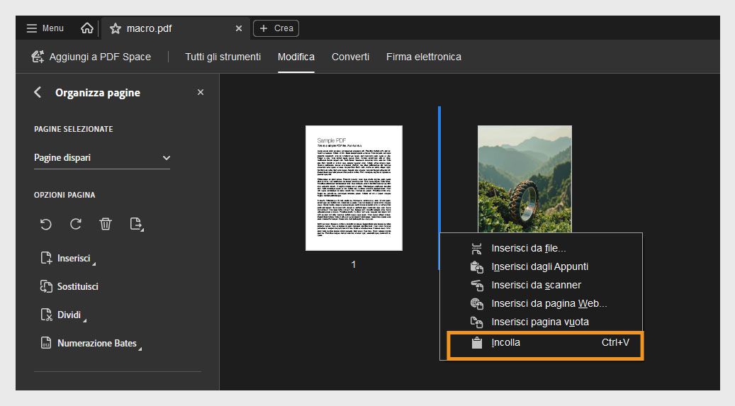 La vista Organizza pagine mostra le miniature delle pagine. Il menu contestuale è aperto, con l’opzione Incolla evidenziata per inserire una pagina copiata o tagliata.