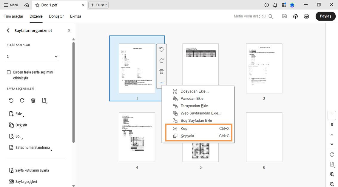 Sayfaları organize et görünümü küçük resimleri gösterir ve seçili sayfanın bağlam menüsünde Kes ve Kopyala seçenekleri görüntülenir.