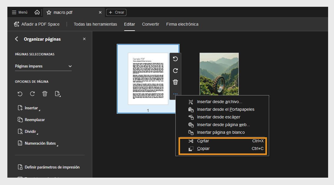 La vista Organizar páginas muestra miniaturas, con el menú contextual de una página seleccionada mostrando las opciones Cortar y Copiar.