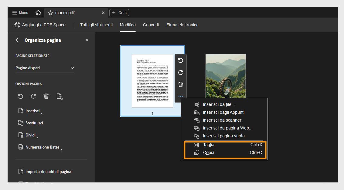 La visualizzazione Organizza le pagine mostra le miniature, con il menu contestuale di una pagina selezionata che visualizza le opzioni Taglia e Copia.