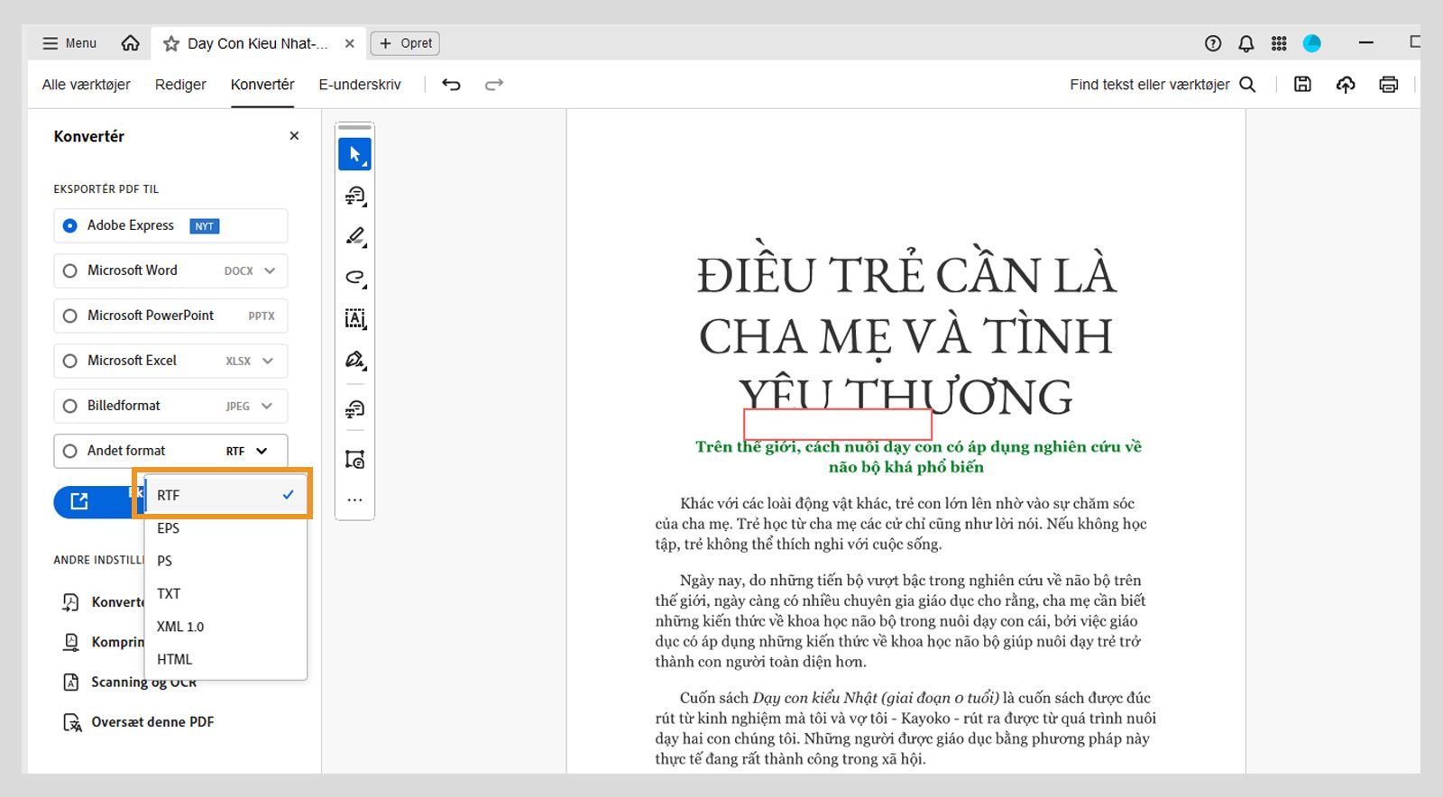 Rullemenuen Andre formater i sektionen Eksportér PDF til fremhæver RTF-indstillingen i venstre rude. 