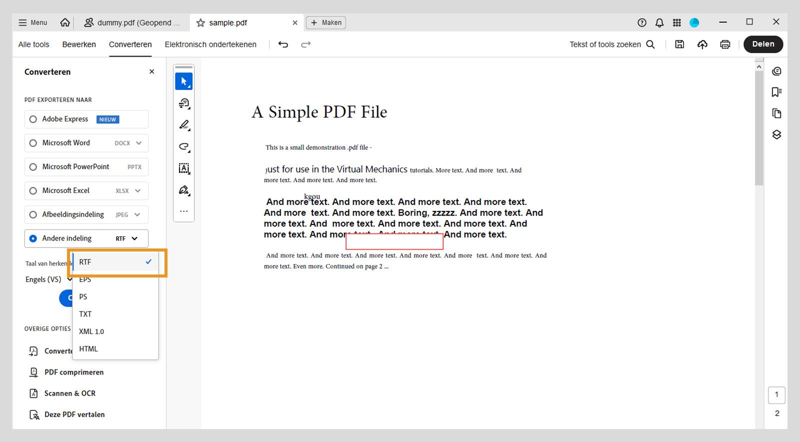 In het vervolgkeuzemenu Andere indeling in het gedeelte PDF exporteren naar is de optie RTF in het linkerdeelvenster gemarkeerd. 