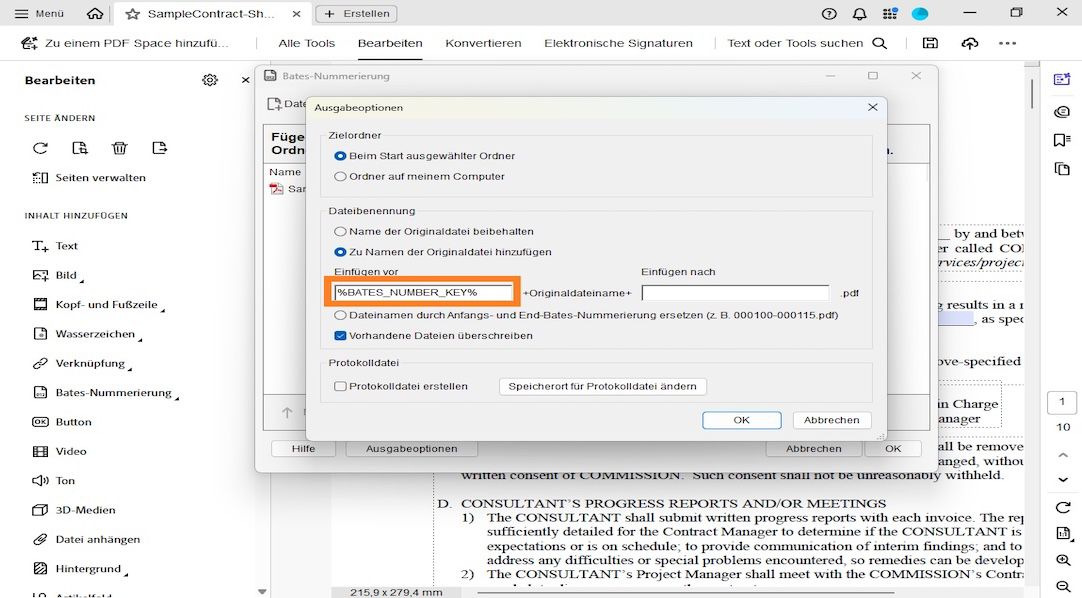 Das Dialogfeld „Ausgabeoptionen“ zeigt die Kategorien „Zielordner“, „Dateibenennung“ und „Protokolldatei“ an. Die Dateibenennung enthält die Felder „Einfügen vor“ und „Einfügen nach“, in denen der Anwender Nummern als Präfixe und Suffixe hinzufügen kann.