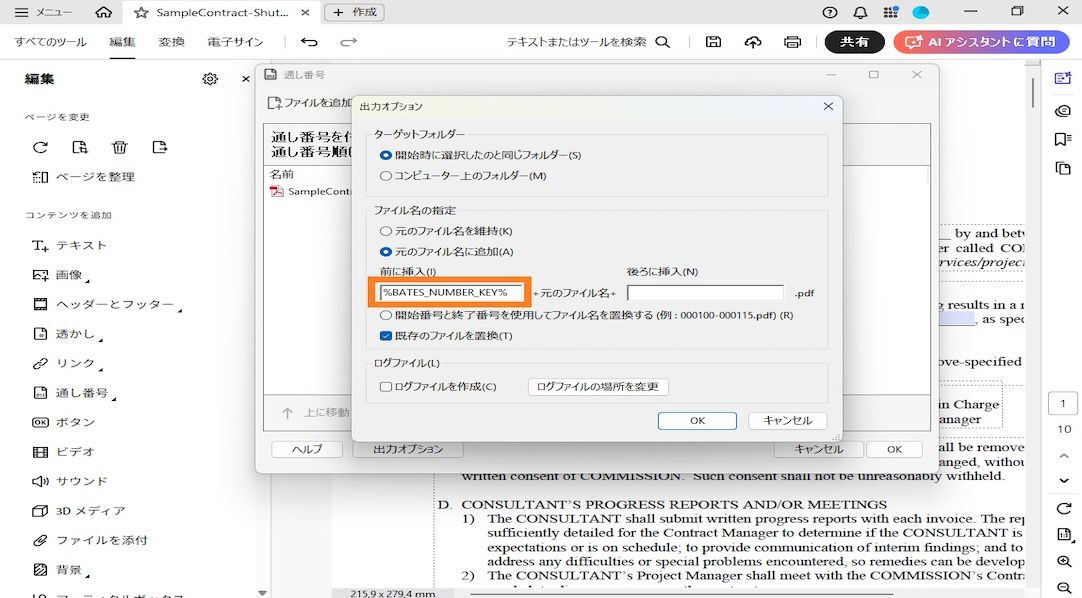 出力オプションダイアログボックスには、ターゲットフォルダー、ファイル名、およびログファイルのカテゴリが表示されます。ファイル名には「前に挿入」と「後に挿入」フィールドがあり、ユーザーは接頭辞と接尾辞として番号を追加できます。