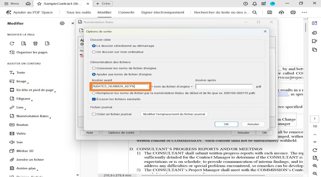La boîte de dialogue Options de sortie comprend les catégories Dossier cible, Dénomination des fichiers et Fichier journal. Sous la section Dénomination de fichiers se trouvent deux champs, Insérer avant et Insérer après, où l’utilisateur peut ajouter des numéros comme préfixes et suffixes.