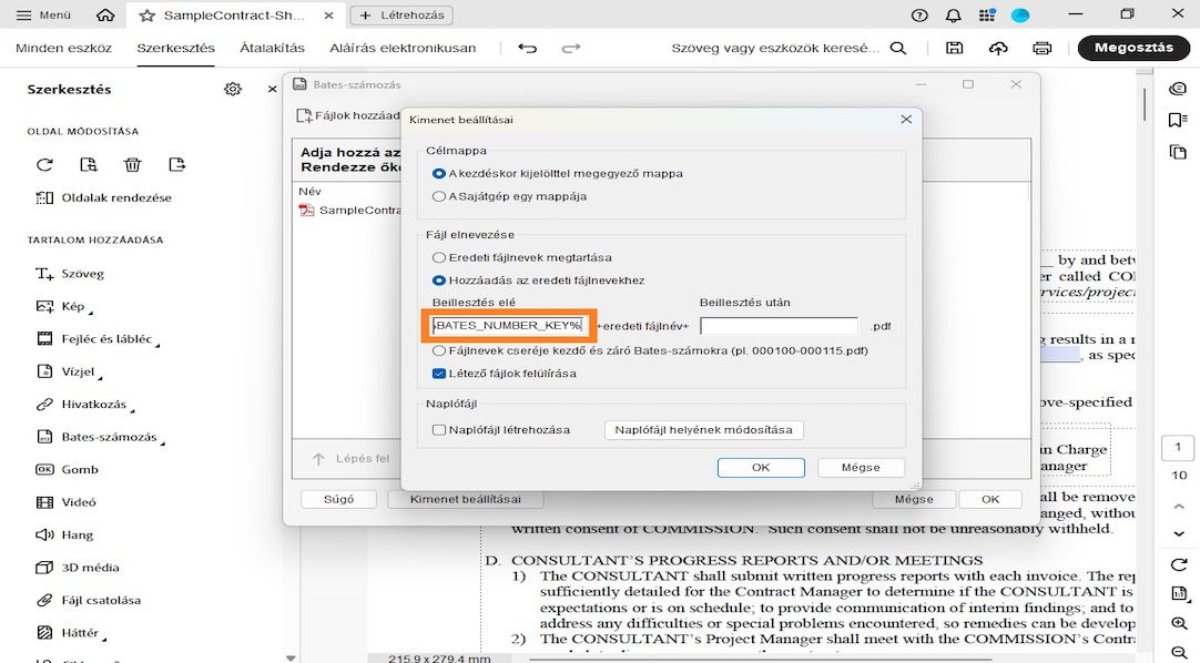 A Kimeneti beállítások párbeszédpanel megjeleníti a Célmappa, Fájlnévadás és Naplófájl kategóriákat.A Fájlnévadás magában foglalja a Beszúrás elé és Beszúrás után mezőket, ahol a felhasználó előtagokat és utótagokat adhat hozzá számokként.
