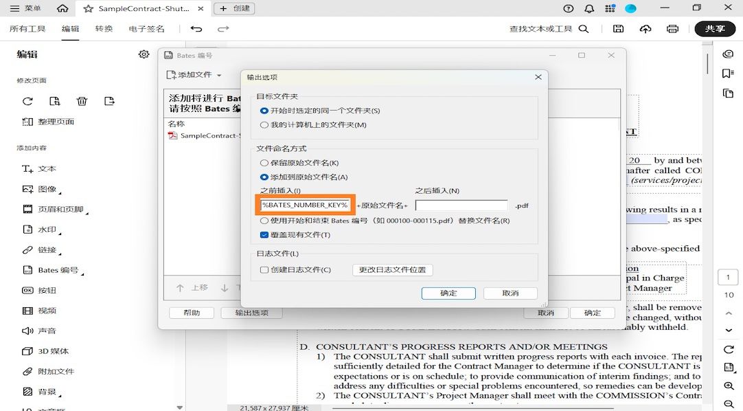 “输出选项”对话框显示“目标文件夹”、“文件命名”和“日志文件”类别。“文件命名”包括“插入之前”和“插入之后”字段，用户可以在其中添加数字作为前缀和后缀。