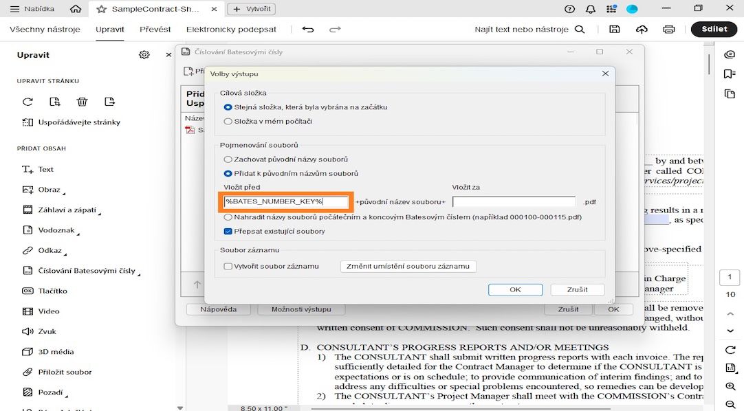 Dialogové okno Možnosti výstupu zobrazuje kategorie Cílová složka, Pojmenování souborů a Soubor protokolu.Pojmenování souborů zahrnuje pole Vložit před a Vložit za, kde uživatel může přidat čísla jako předpony a přípony.