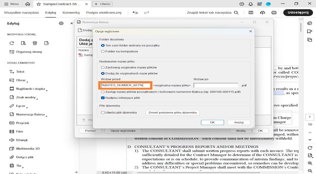 Okno dialogowe Opcje wyjściowe wyświetla kategorie Folder docelowy, Nazewnictwo plików i Plik dziennika. Nazewnictwo plików zawiera pola Wstaw przed i Wstaw po, gdzie użytkownik może dodać numery jako przedrostki i przyrostki.