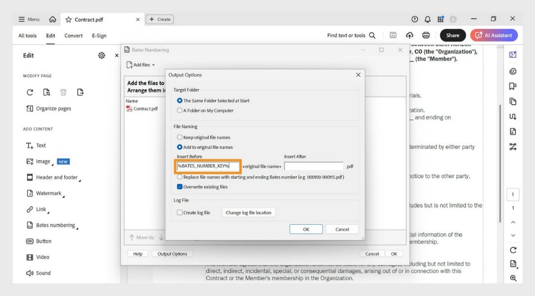Ipinapakita ng Output Options dialog box ang mga kategorya ng Target Folder, File Naming, at Log File. Kasama sa File Naming ang mga field na Insert Before at Insert After, kung saan maaaring magdagdag ang user ng mga numero bilang prefix at suffix.