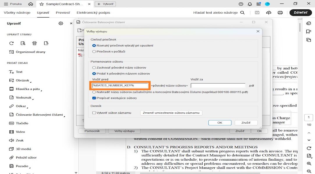 Dialógové okno Možnosti výstupu zobrazuje kategórie Cieľový priečinok, Pomenovanie súborov a Súbor denníka.Pomenovanie súborov zahŕňa polia Vložiť pred a Vložiť za, kde používateľ môže pridať čísla ako predpony a prípony.