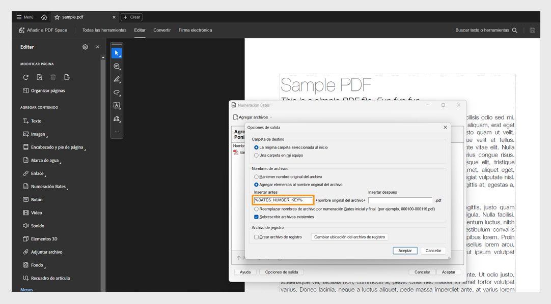 El cuadro de diálogo Opciones de salida muestra las categorías Carpeta de destino, Nomenclatura de archivos y Archivo de registro. La Nomenclatura de archivos incluye los campos Insertar antes e Insertar después, donde el usuario puede añadir números como prefijos y sufijos.