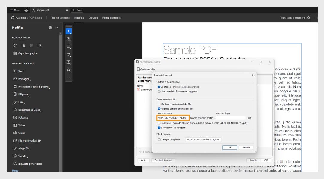 La finestra di dialogo Opzioni di output visualizza le categorie Cartella di destinazione, Denominazione file e File di registro. Denominazione file include i campi Inserisci prima e Inserisci dopo, dove l’utente può aggiungere numeri come prefissi e suffissi.