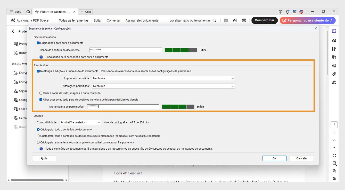 O diálogo Segurança por senha - Configurações exibe as seguintes configurações: Abrir documento, Permissões e Opções. A configuração de Permissões permite que os usuários definam uma senha para controlar edição, impressão e cópia.