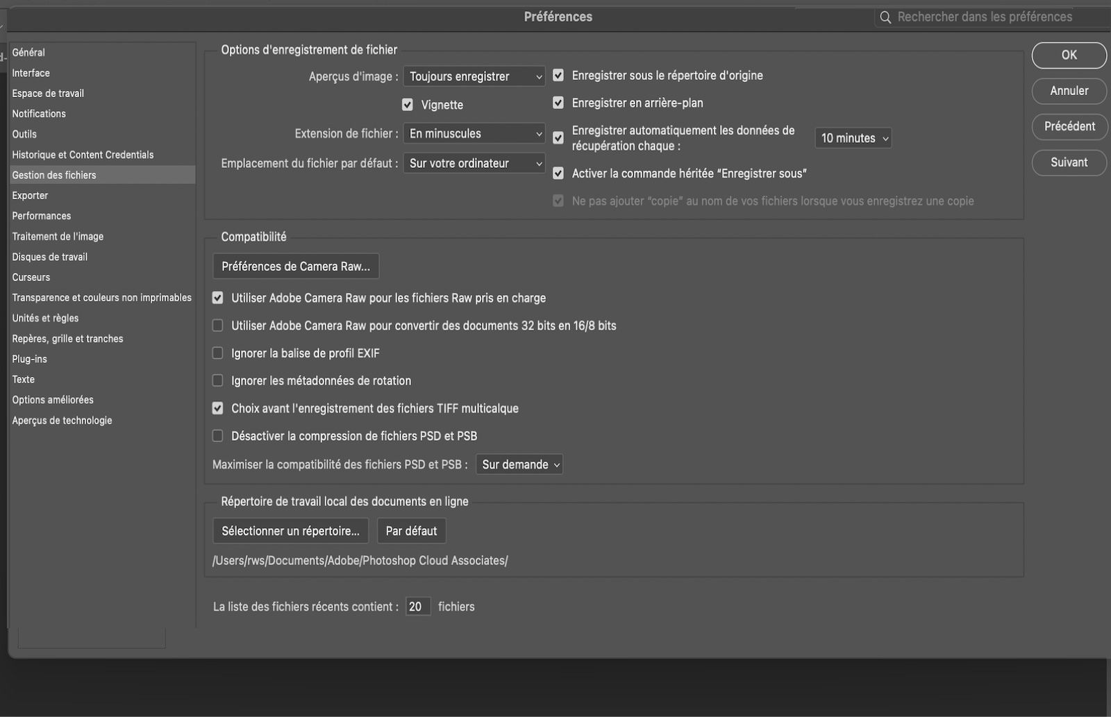 Boîte de dialogue Préférences ouverte avec le panneau Gestion des fichiers affiché avec les options permettant de définir les comportements d’enregistrement des fichiers, les intervalles de récupération, les emplacements par défaut et les paramètres de compatibilité.