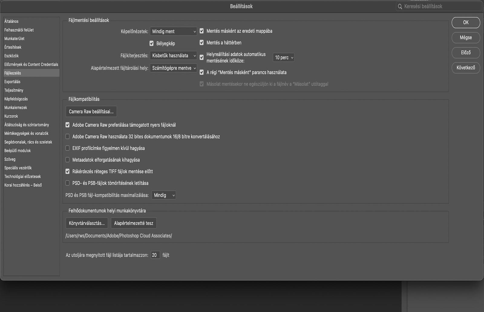 Megnyílik a Beállítások párbeszédpanel, és a Fájlkezelés panel jelenik meg a fájlmentési viselkedések, helyreállítási időközök, alapértelmezett fájlhelyek és kompatibilitási beállítások opcióival.