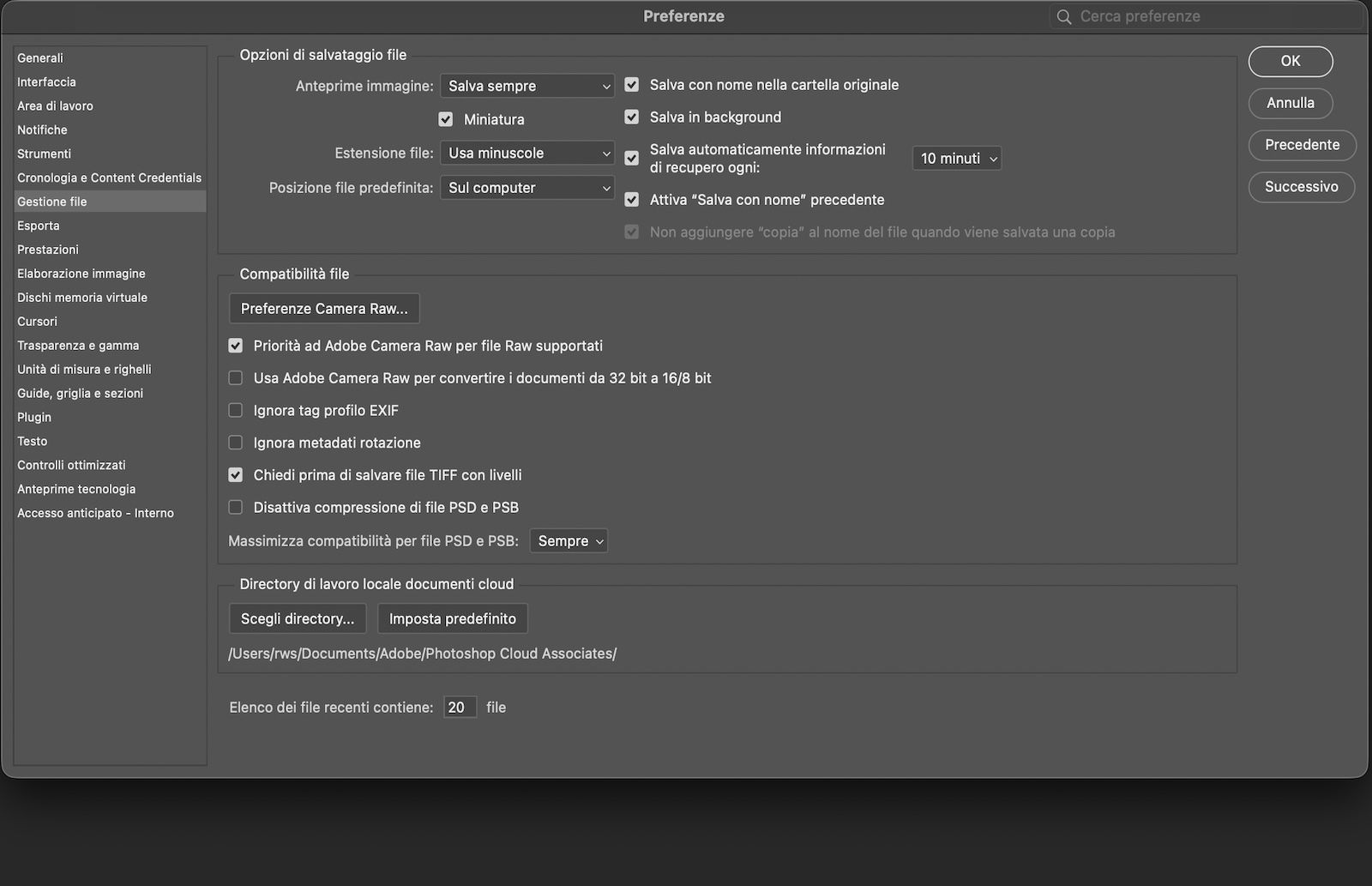 La finestra di dialogo Preferenze è aperta e viene visualizzato il pannello Gestione file con le opzioni per impostare i comportamenti di salvataggio dei file, gli intervalli di recupero, le posizioni predefinite dei file e le impostazioni di compatibilità.