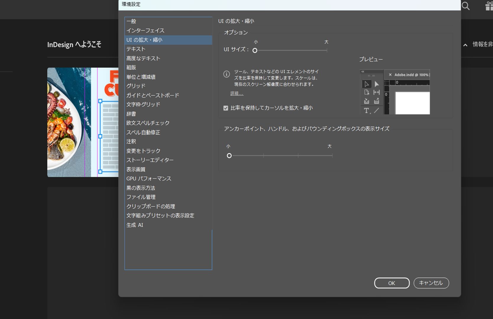 UI サイジングスライダーとプレビューを含む、すべてのユーザーインターフェイス表示コントロールが表示されている環境設定ダイアログ。