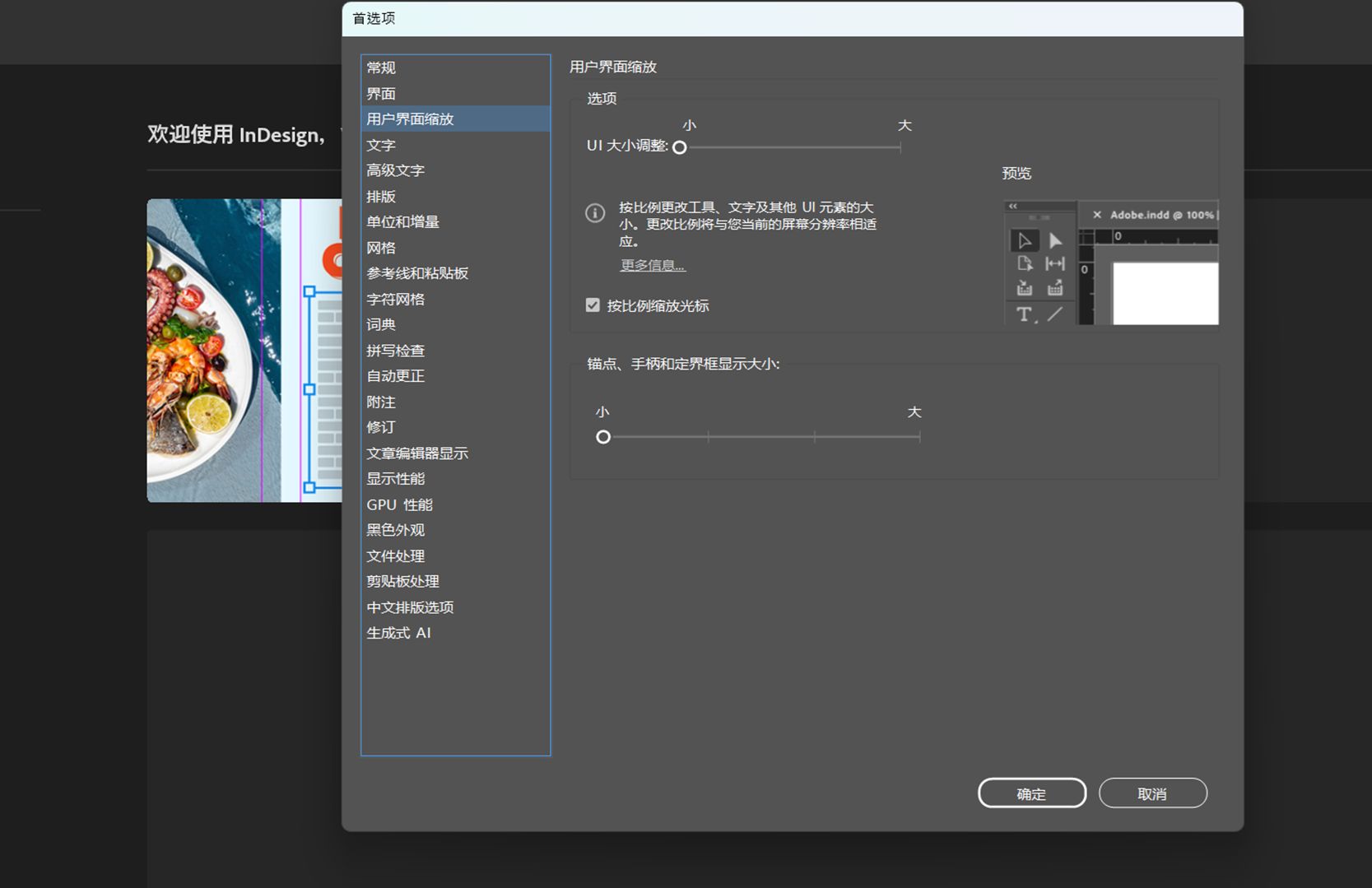 “首选项”对话框显示了所有“用户界面缩放”控件，包括“UI 大小调整”滑块和“预览”。