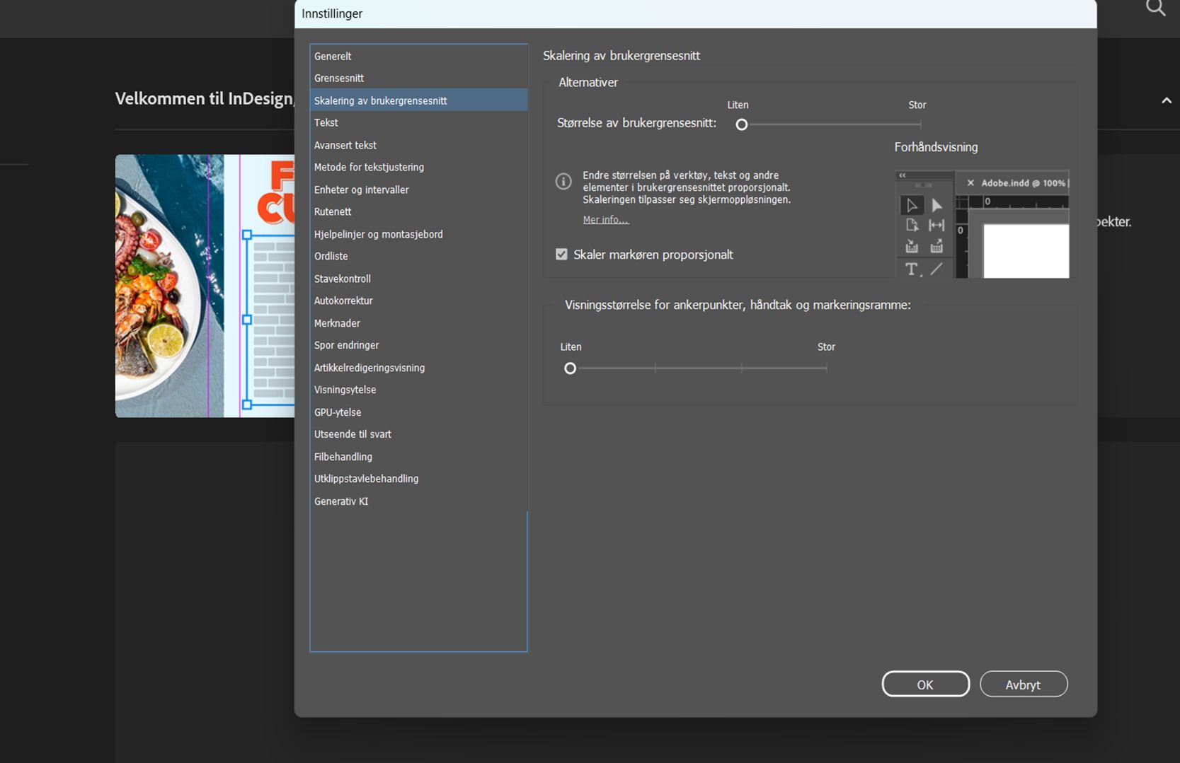Innstillinger-dialogen viser alle kontrollene for User Interface Scaling, inkludert skyveknappen for UI Sizing og forhåndsvisningen.