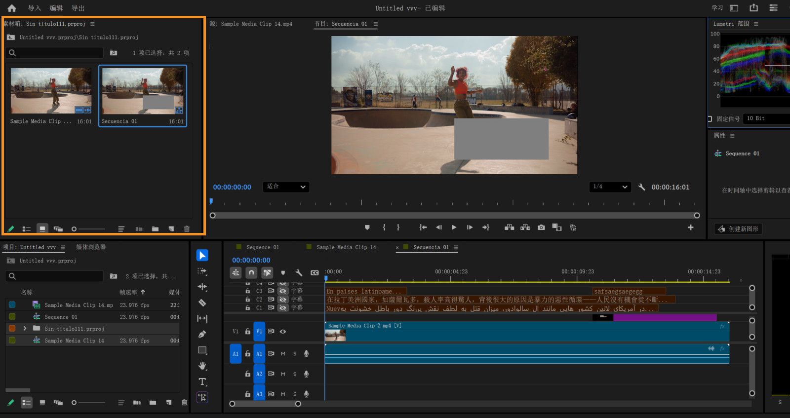 Premiere Pro 工作区显示在单个工作区中自定义的两个不同项目面板。