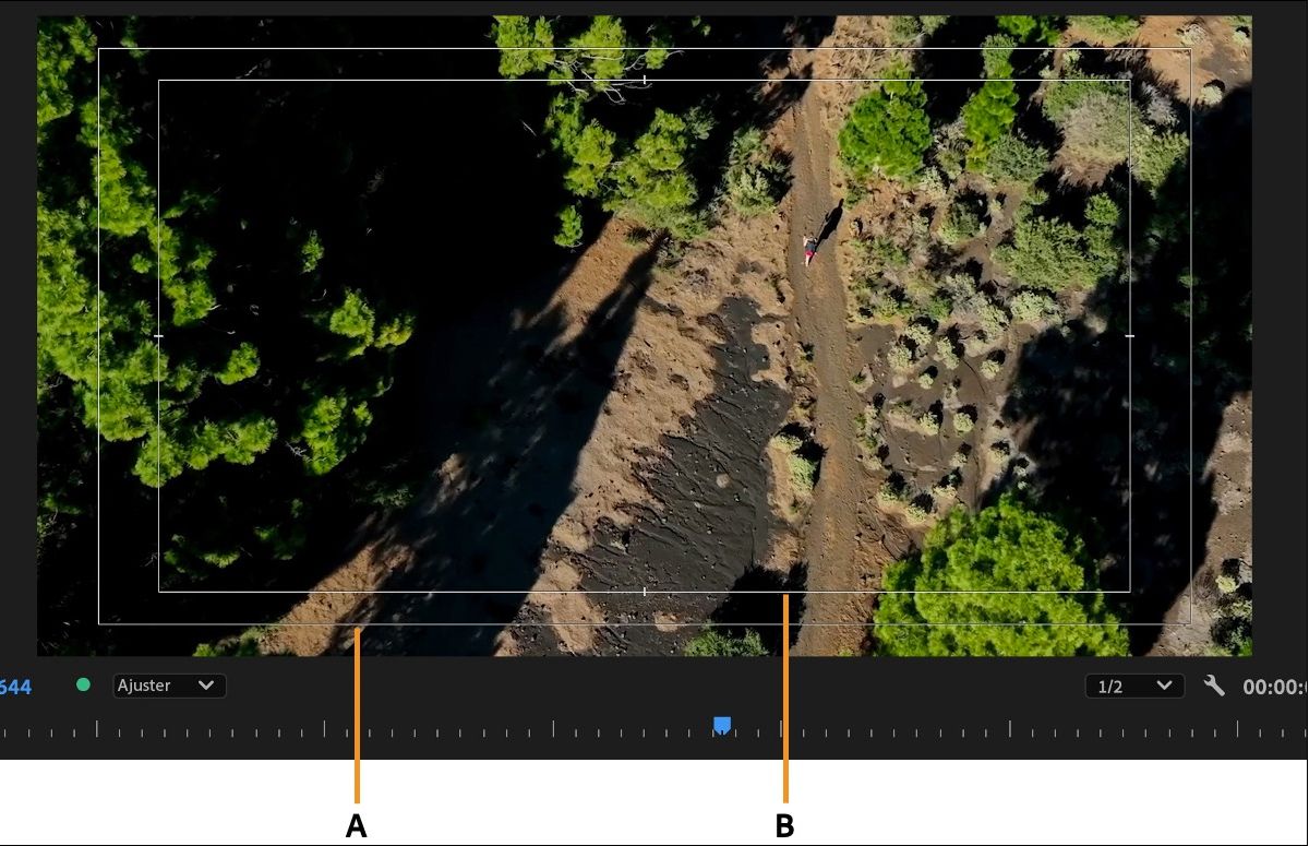 Le moniteur de programme affiche les zones de sécurité pour vous aider à vous assurer que votre contenu monté convient à diverses tailles d'écran et différents formats d'image.