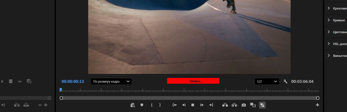 Программный монитор открыт, и есть индикация, что идет запись голоса.