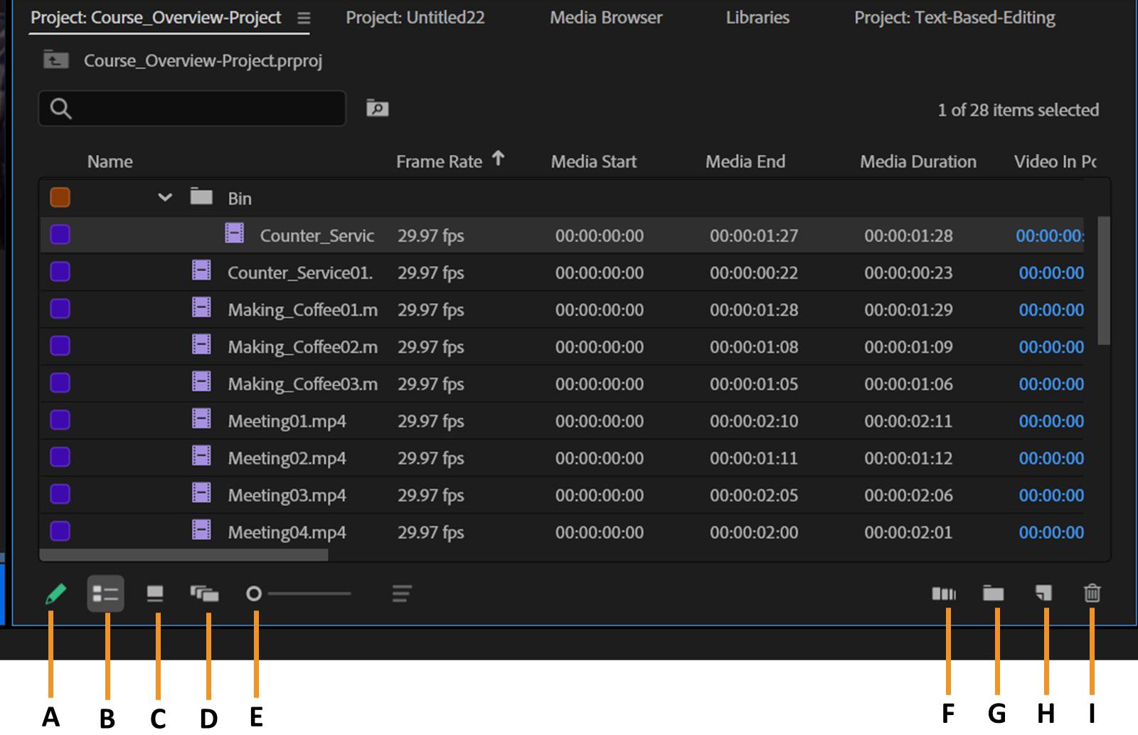 El panel Project muestra la lista de clips junto con su información de metadatos, como Velocidad de fotogramas, Inicio de medios, Fin de medios y más.