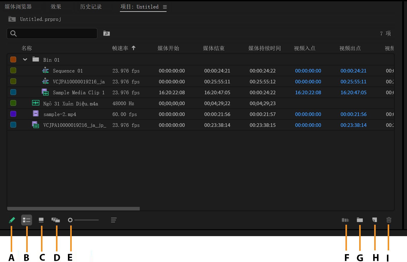 Project 面板显示片段列表及其元数据信息，如帧速率、媒体开始、媒体结束等。