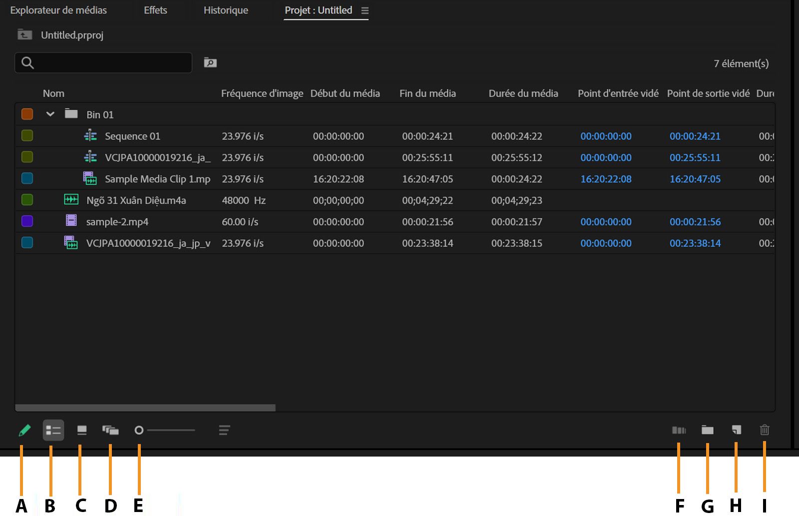 Le panneau Projet affiche la liste des clips avec leurs métadonnées, telles que la fréquence d’images, le début du média, la fin du média, et plus encore.