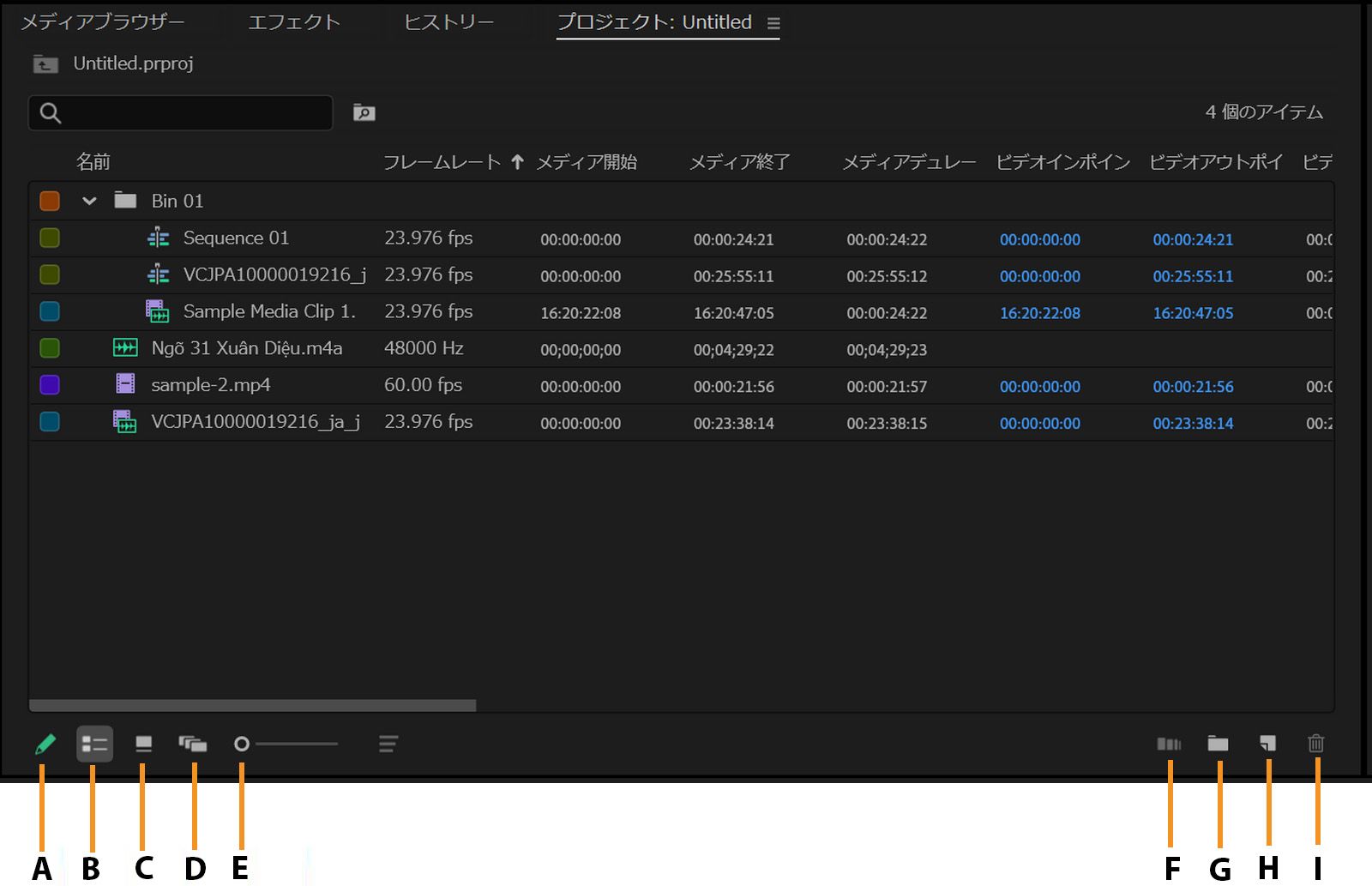 プロジェクトパネルには、クリップのリストとフレームレート、メディア開始、メディア終了などのメタデータ情報が表示されます。