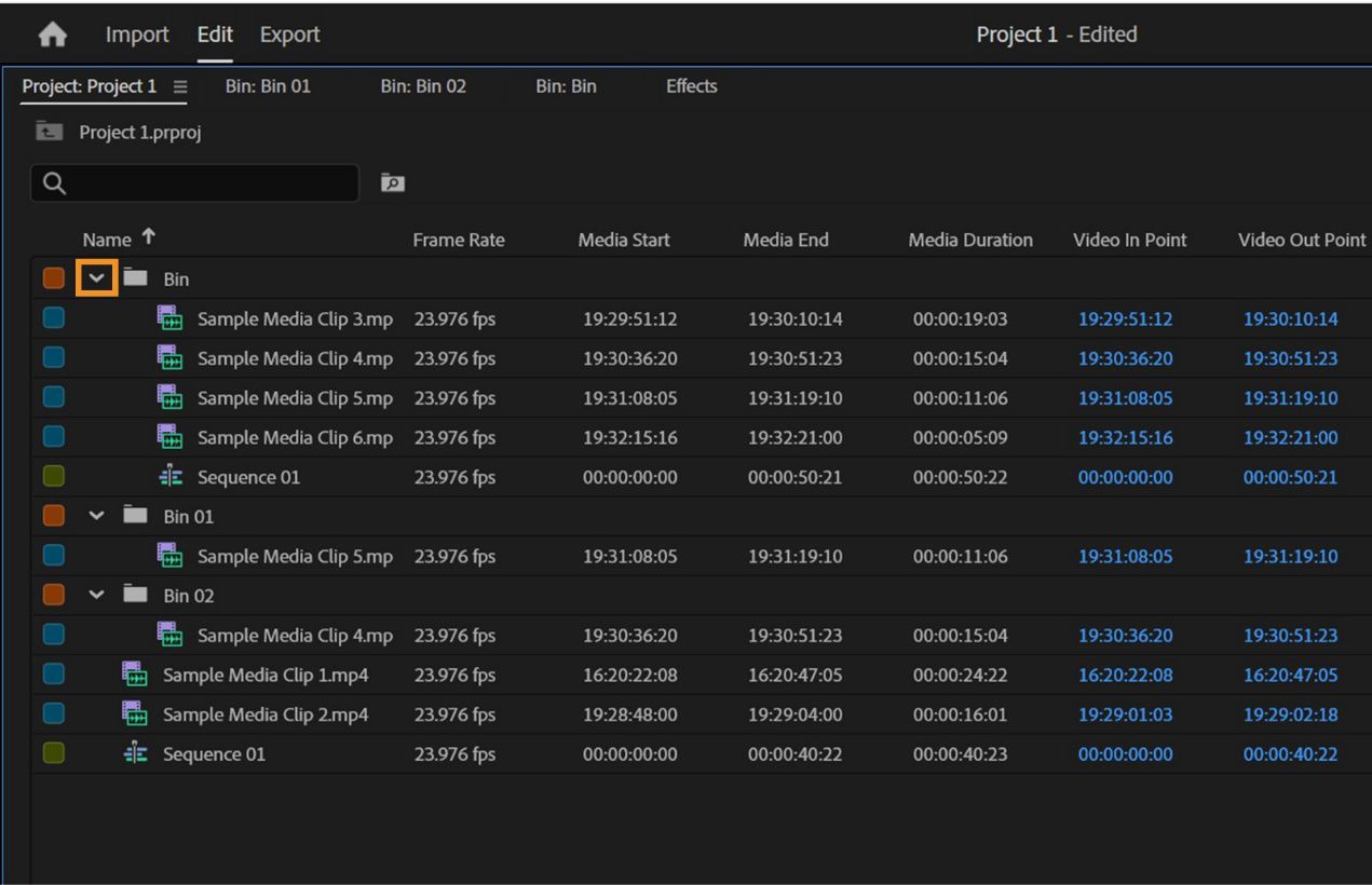 Il pannello Progetto mostra più bin aperti, con il segno di compressione evidenziato per il primo bin.