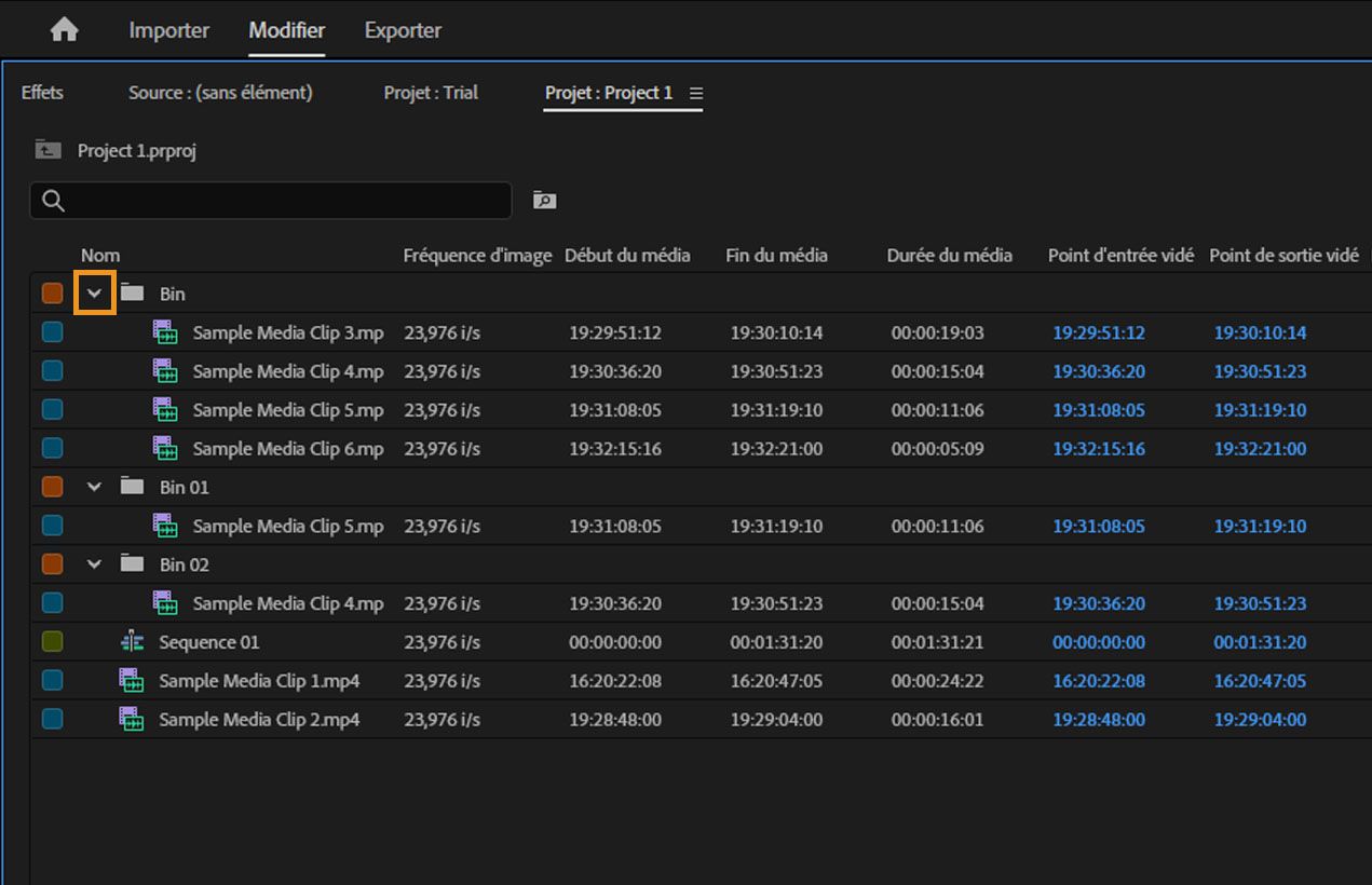 Le panneau Projet affiche plusieurs chutiers ouverts, avec le signe de masquage mis en surbrillance pour le premier chutier.