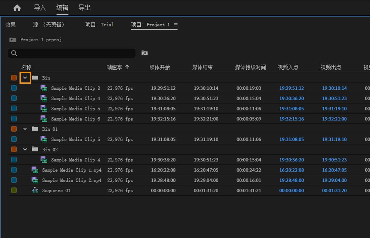 项目面板显示多个打开的素材箱，第一个素材箱的折叠标志被突出显示。