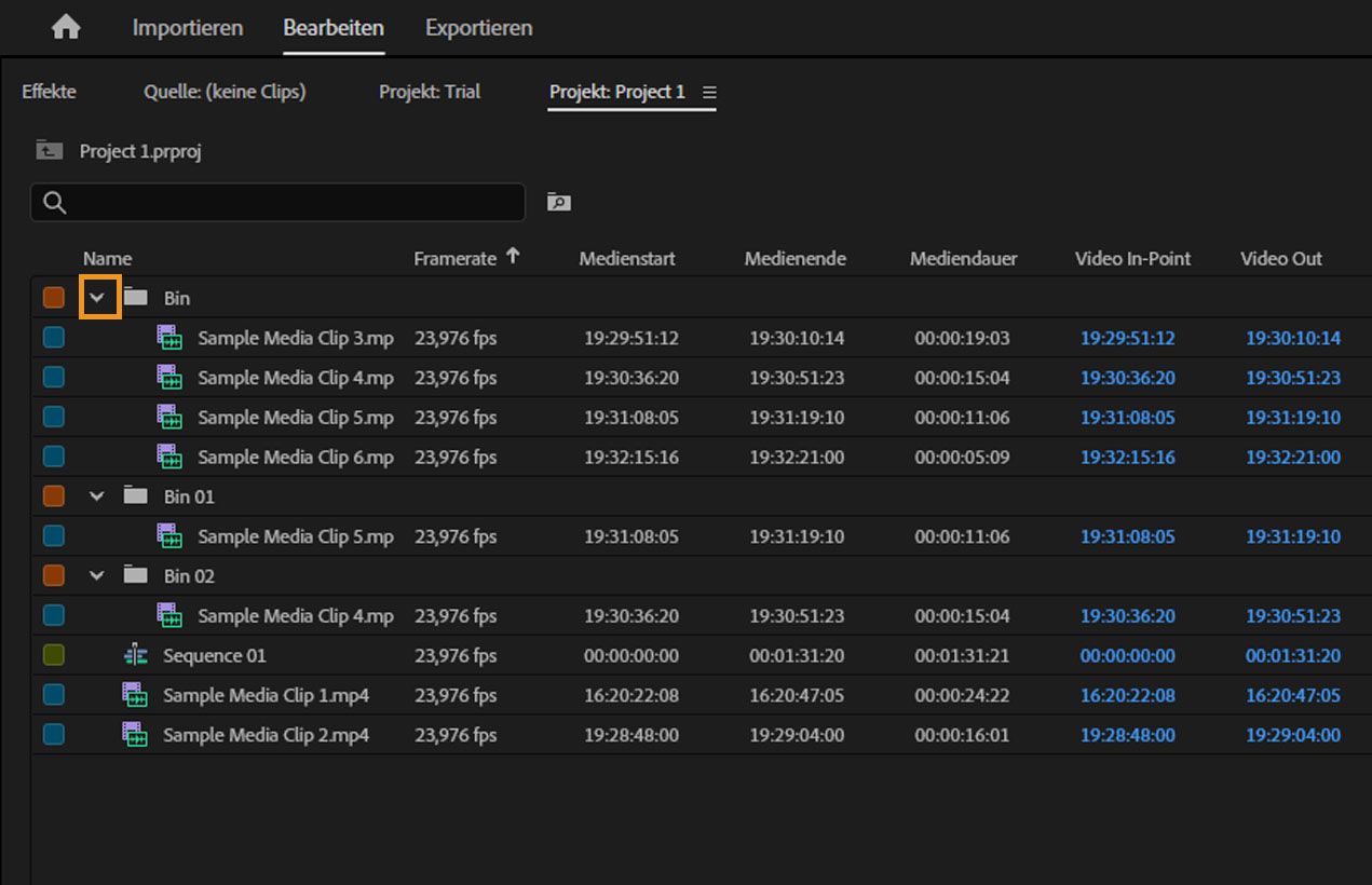 Das Bedienfeld Projekt zeigt mehrere geöffnete Ablagen, das Symbol zum Ausblenden für die erste Ablage ist hervorgehoben.