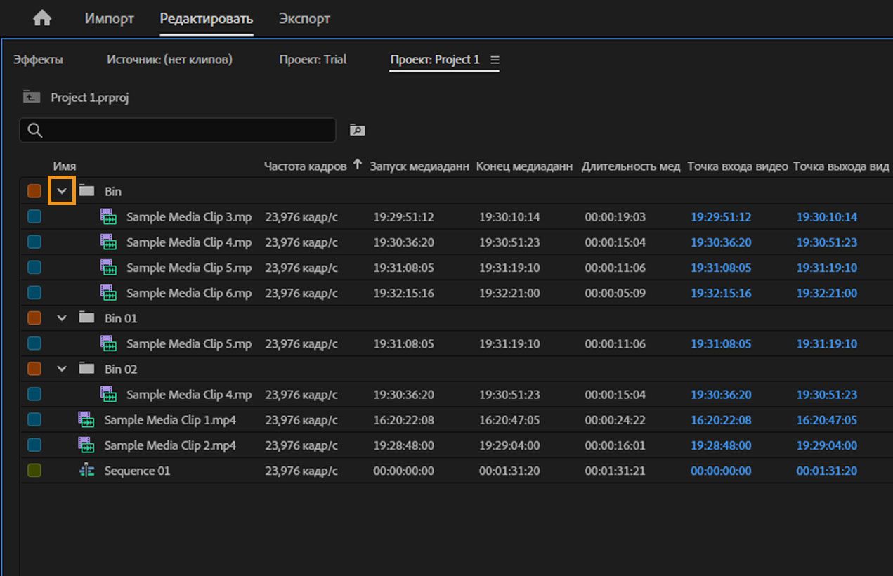 На панели «Проект» показаны несколько открытых подборок, при этом для первой подборки выделен знак сворачивания.