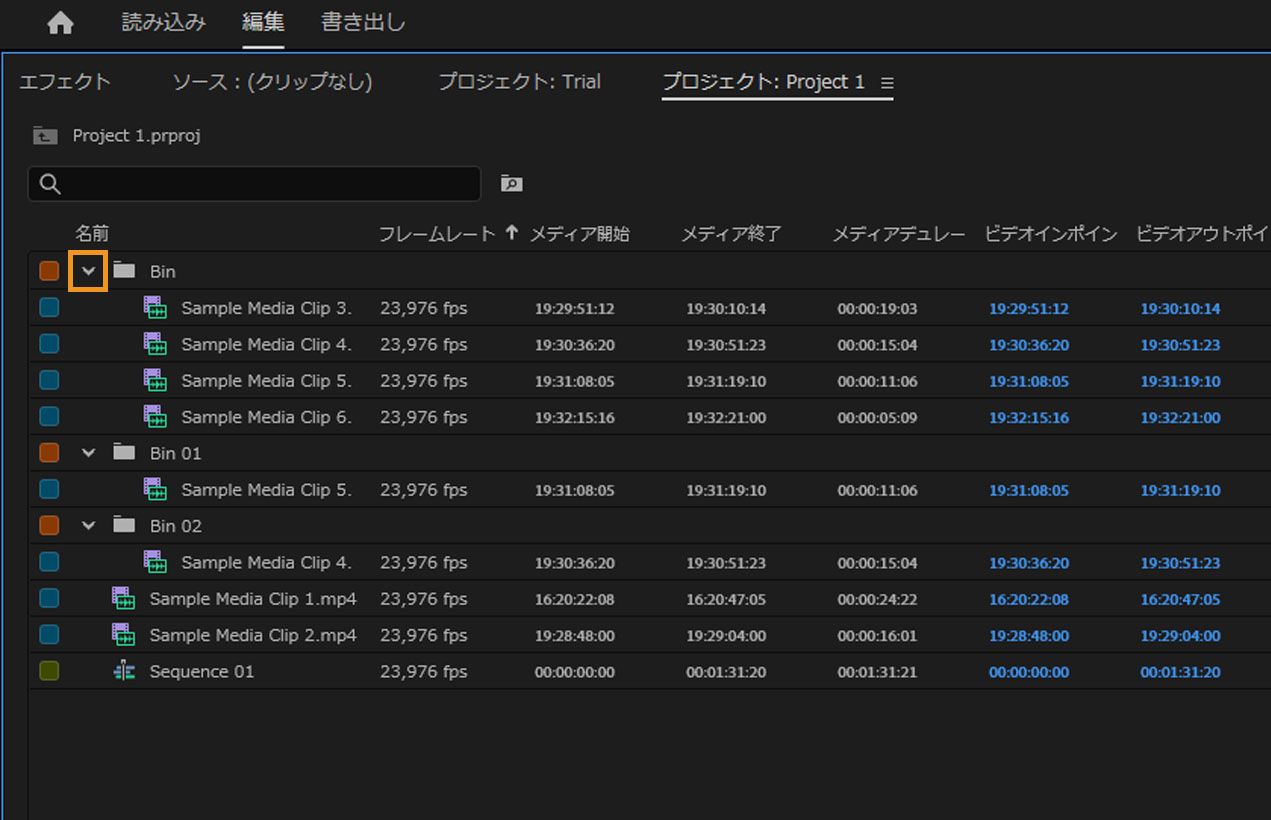 プロジェクトパネルには複数のビンが開かれ、最初のビンの折りたたみ記号がハイライト表示されています。