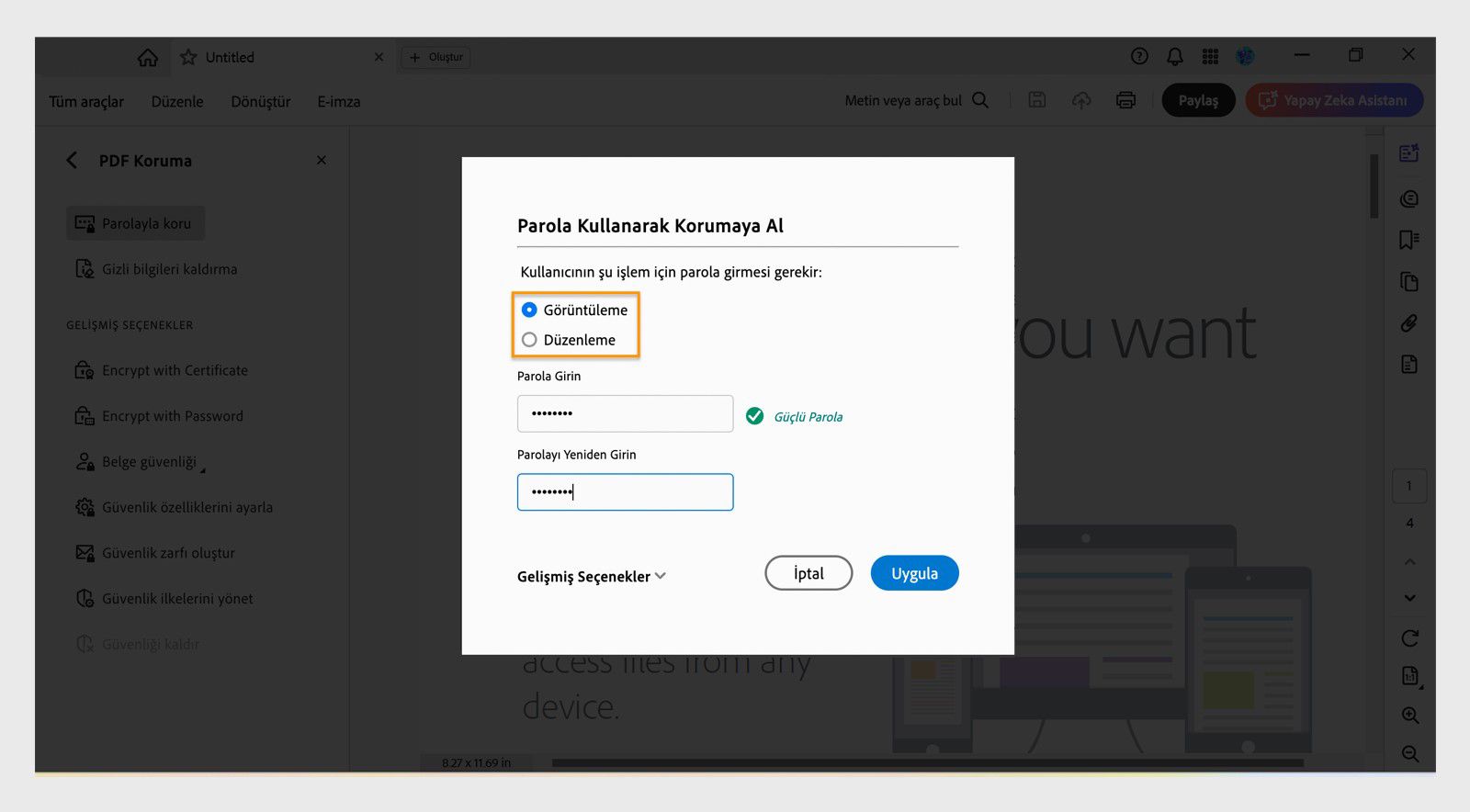 Parola Kullanarak Koru iletişim kutusu, görüntüleme veya düzenleme için parola izinlerini ayarlama seçeneklerinin yanı sıra parolayı girme alanlarını gösterir.