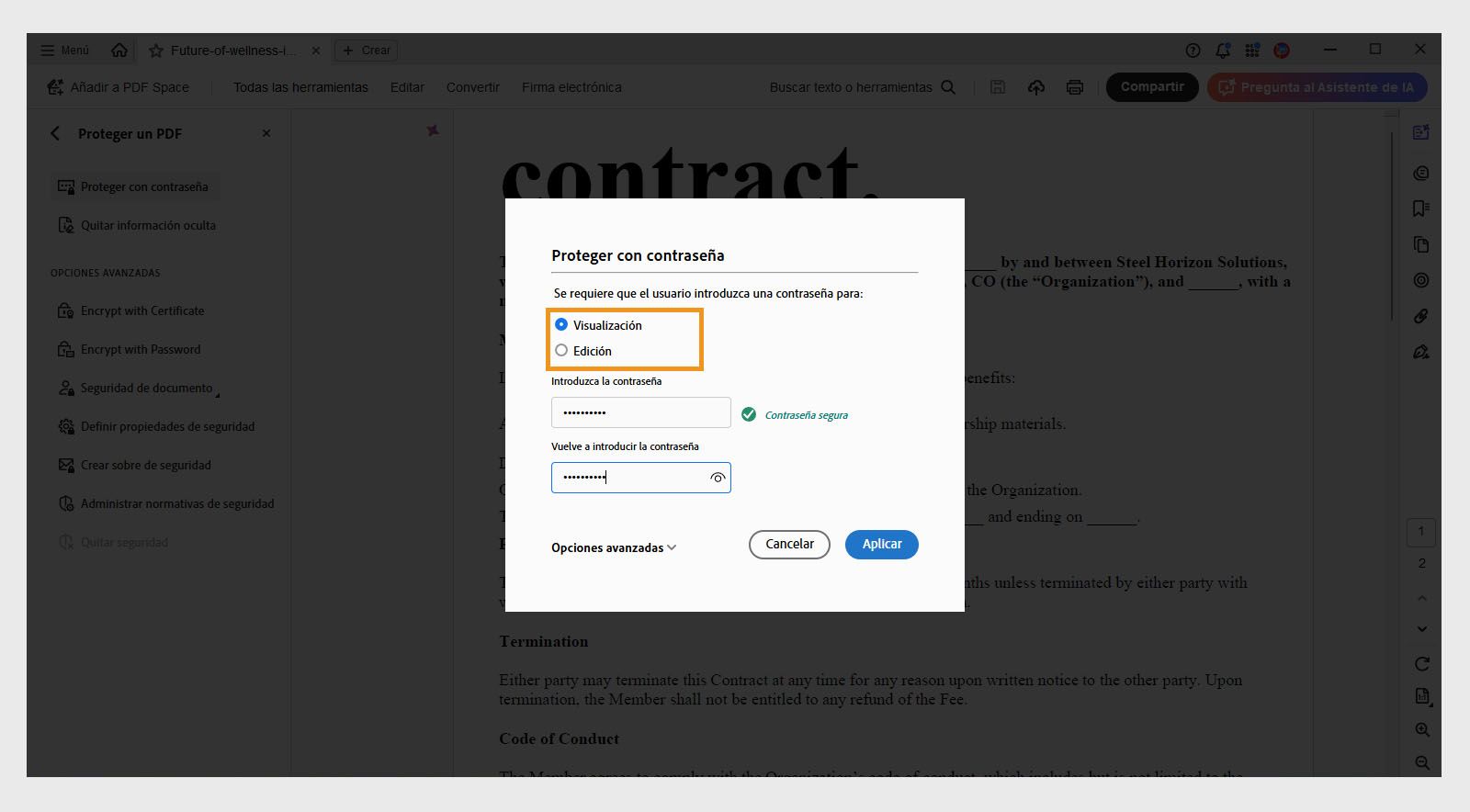 El cuadro de diálogo Proteger mediante contraseña muestra opciones para establecer permisos de contraseña para visualización o edición, así como campos para introducir la contraseña.