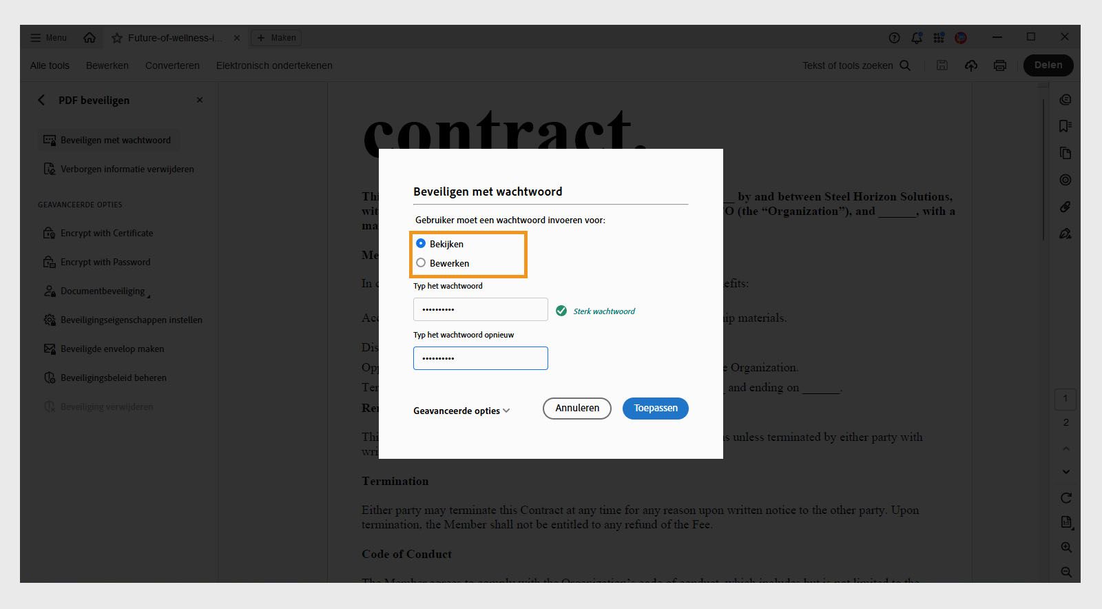 Het dialoogvenster Beveiligen met wachtwoord toont opties voor het instellen van wachtwoordmachtigingen voor weergeven of bewerken, evenals velden voor het invoeren van het wachtwoord.
