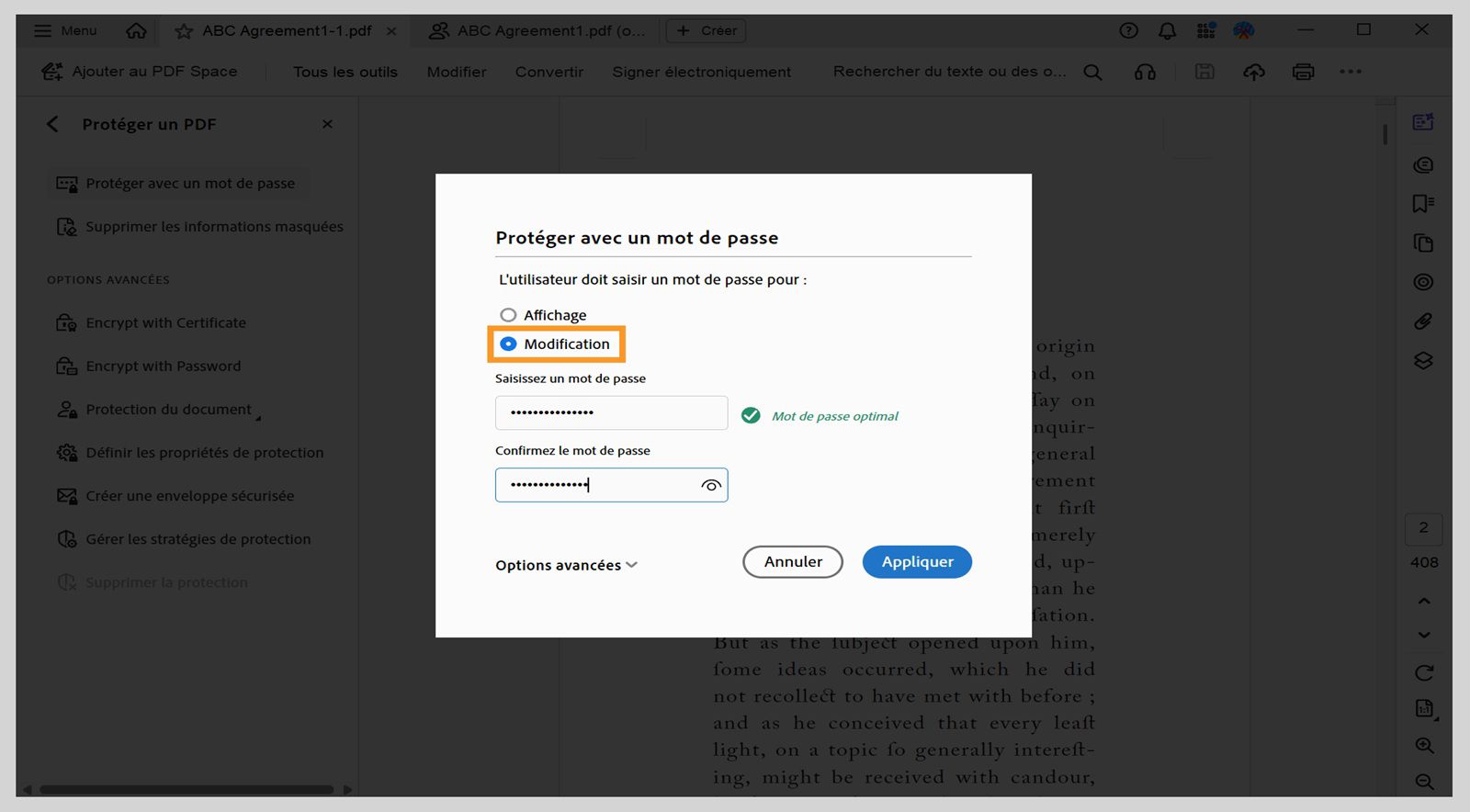 La boîte de dialogue Protéger avec un mot de passe présente l’option Modification sélectionnée et un mot de passe saisi.