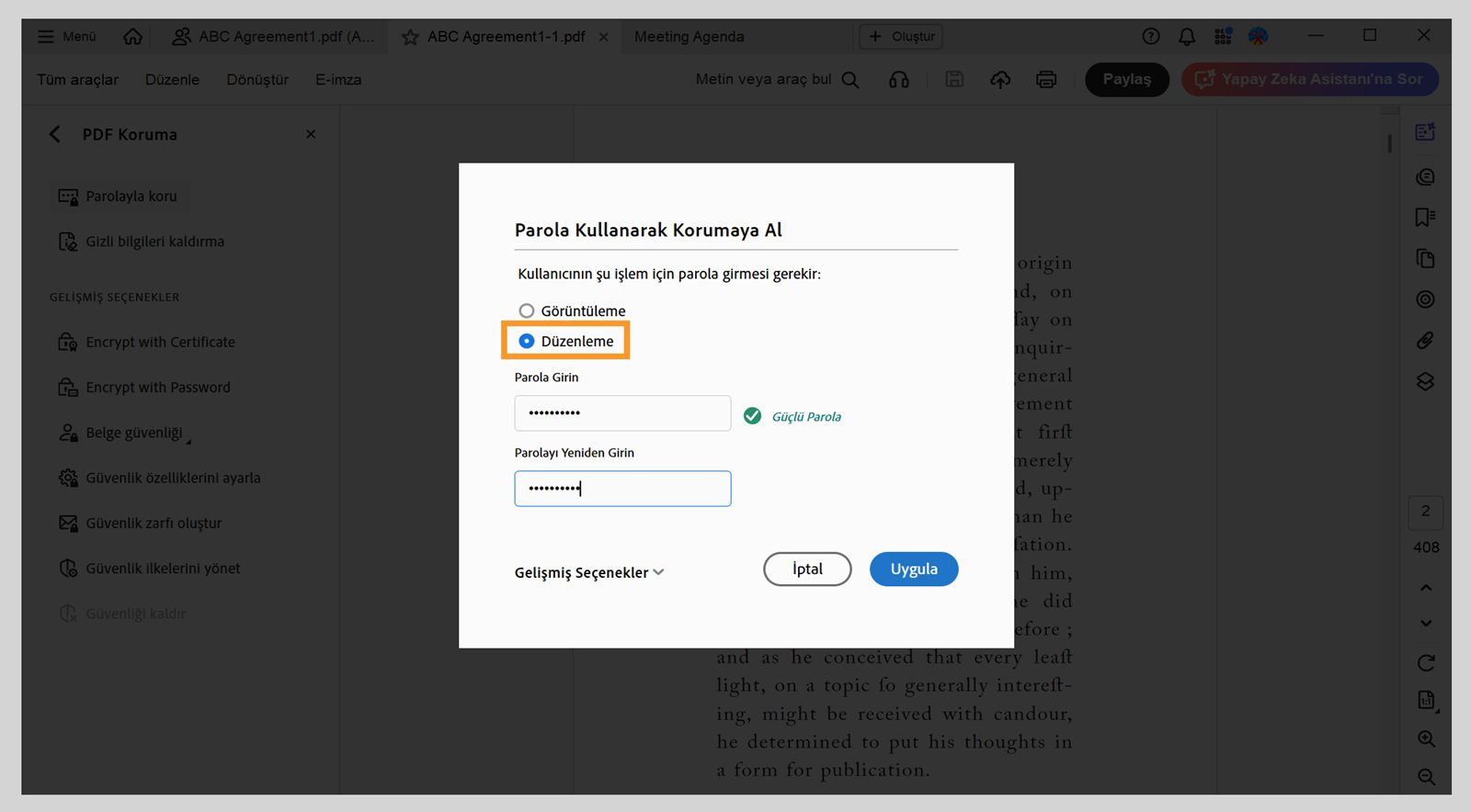 Parola Kullanarak Koru iletişim kutusunda Düzenleme seçeneğinin seçili olduğu ve bir parola girildiği görülüyor.